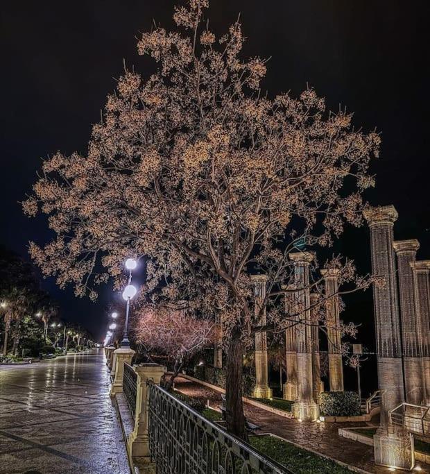 B&B Ammari. Appartamento - Bilocale. Gallico 外观 照片