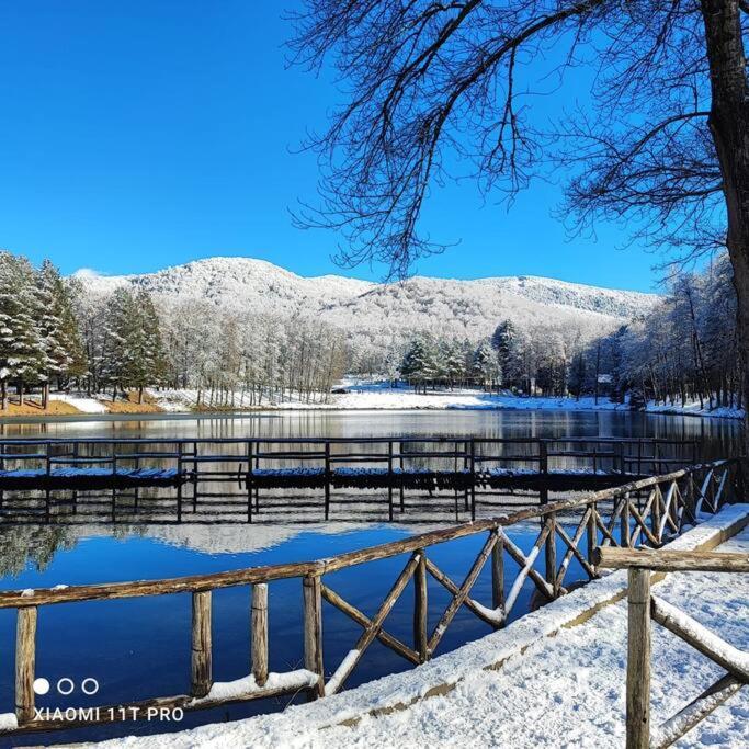 B&B Ammari. Appartamento - Bilocale. Gallico 外观 照片